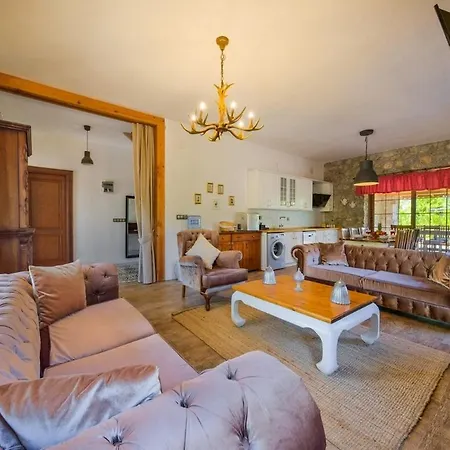 度假居 Albavis-10-person Conservative In Kayakoy, 费特希耶