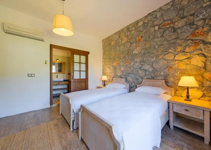 Albavis-10-person Conservative In Kayakoy, *