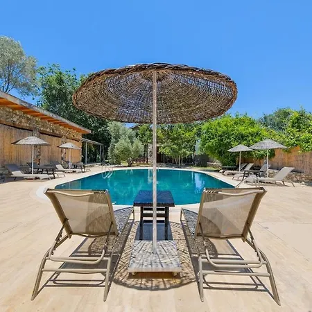 Albavis-10-person Conservative In Kayakoy, 펜션 *