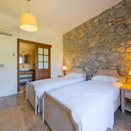 Albavis-10-person Conservative In Kayakoy, *