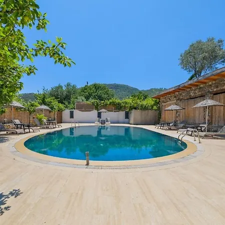 Albavis-10-person Conservative In Kayakoy, * 페티예