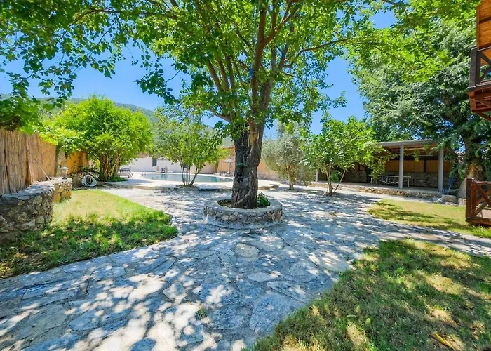 Albavis-10-person Conservative In Kayakoy, Fethiye