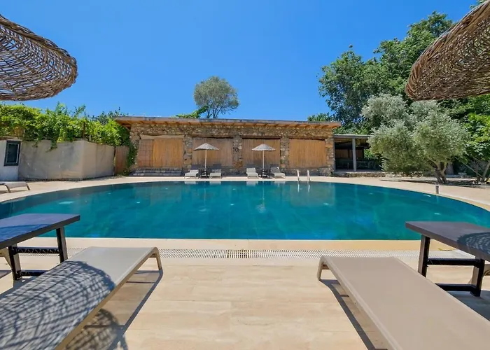 Albavis-10-person Conservative In Kayakoy, *